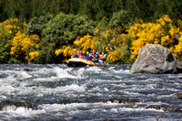 11th November 10.30am Family Float